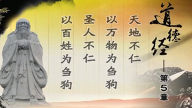 梦回五载，父亲之年的深意与弟弟离世之谜——一场关于生命、爱与传承的梦境解析