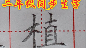 伞字怎么写拼音 d6f8b4ed914864bc052fc57a694ea4b37f822648.jpg@280w_158h_1c_100q.jpg