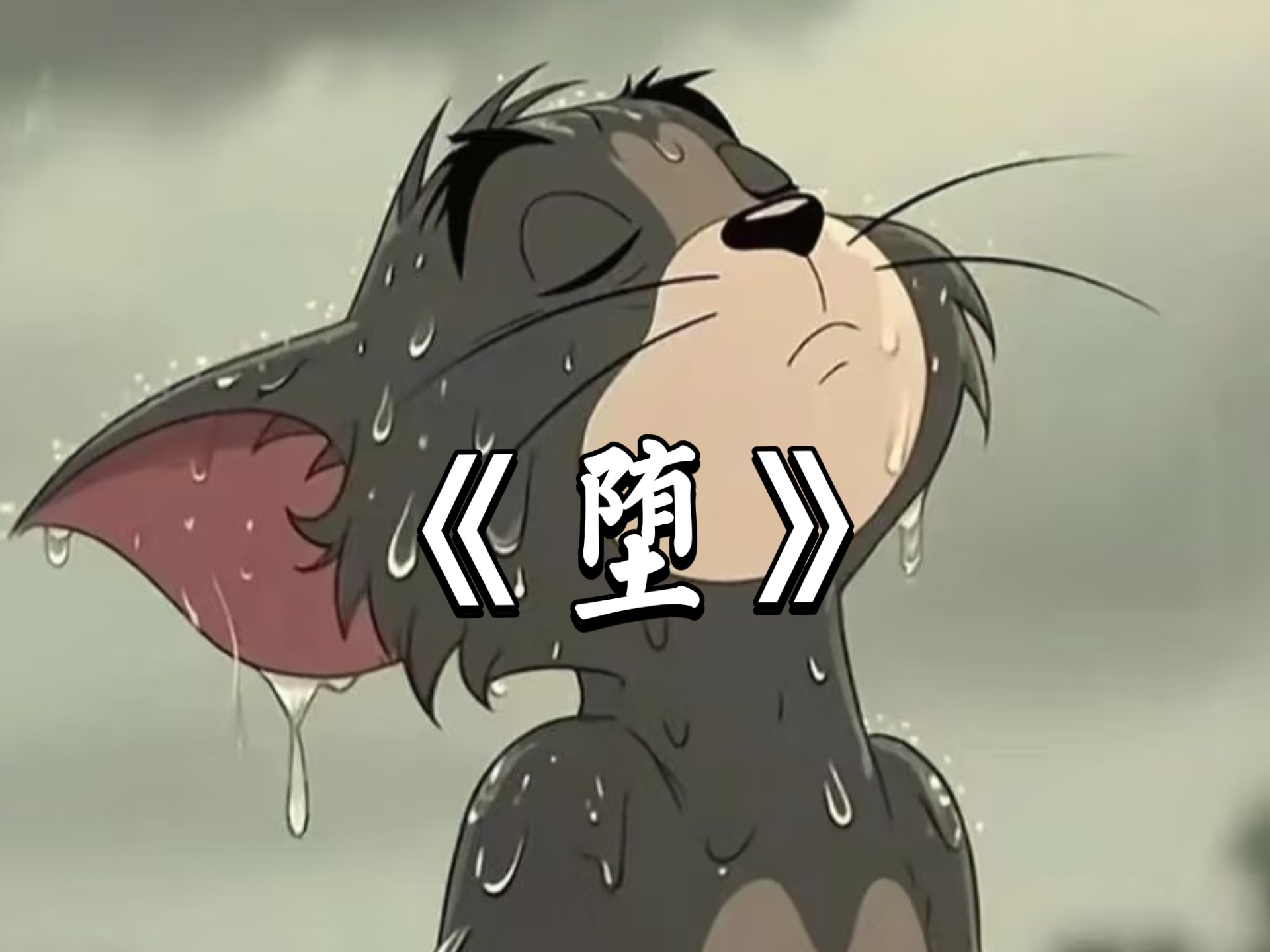 这才是《堕》的原版mv!