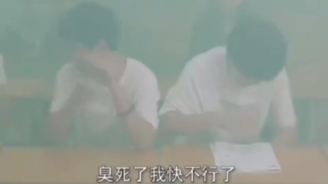 感谢臭鼬娘汉化组