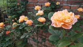 d73f4df47def00baa9eec58567bc9f6c23c5397a.jpg@280w_158h_1c_100q.jpg