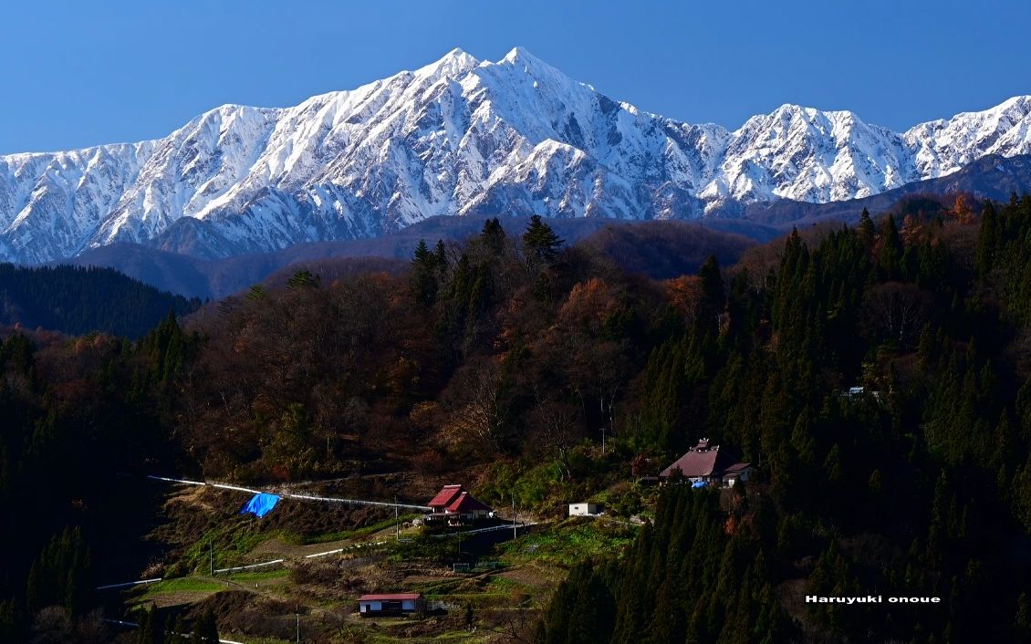 【4K超高清日本】第一视角 美丽的信州初冬的里山 (1080P高清版) 2022.11