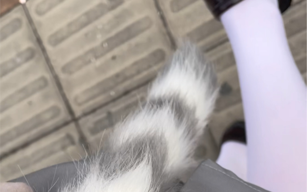 Elementary school students go out