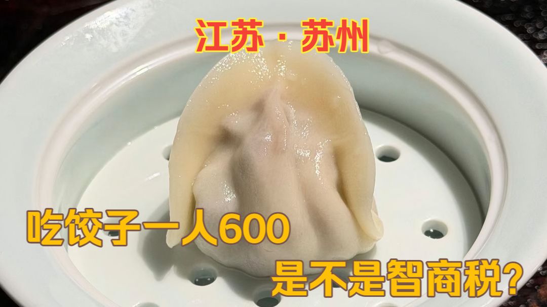 苏州600块一个人的饺子宴，你们觉得值吗？ #苏州美食 #稻草代吃 #水饺