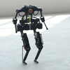 BRUCE--Bipedal Robot Unit with Compliance Enhanced