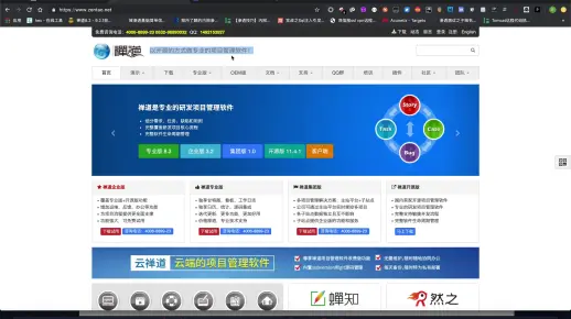 禅道系统-SQL注入-getshell