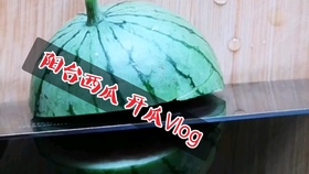 d79ed8e82bc1fb5f6aee72f900683c581568cb55.jpg@280w_158h_1c_100q.jpg