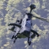 【直升机鉴赏】4K原声 | 德国虎式武装直升机低空机动飞行