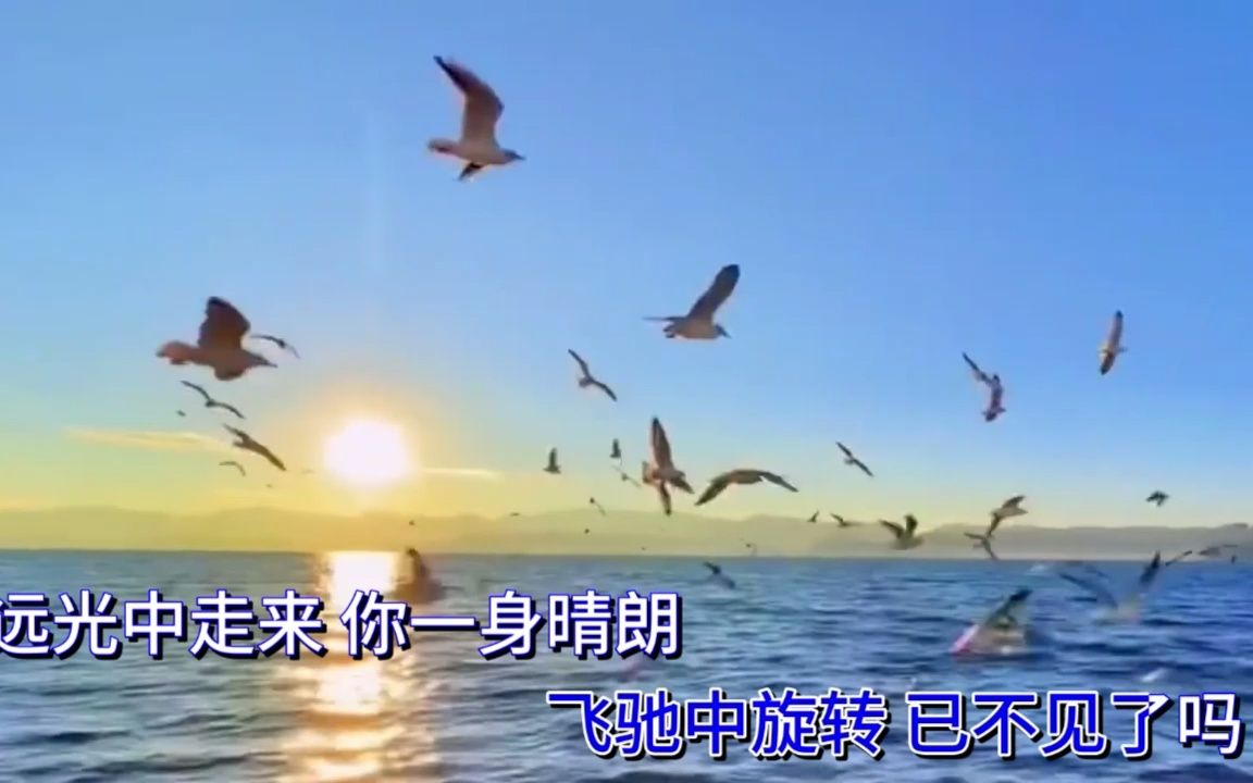 这世界那么多人 (Live)KTV走字字幕+MV视频+高清伴奏_B站达人菌_后期成品