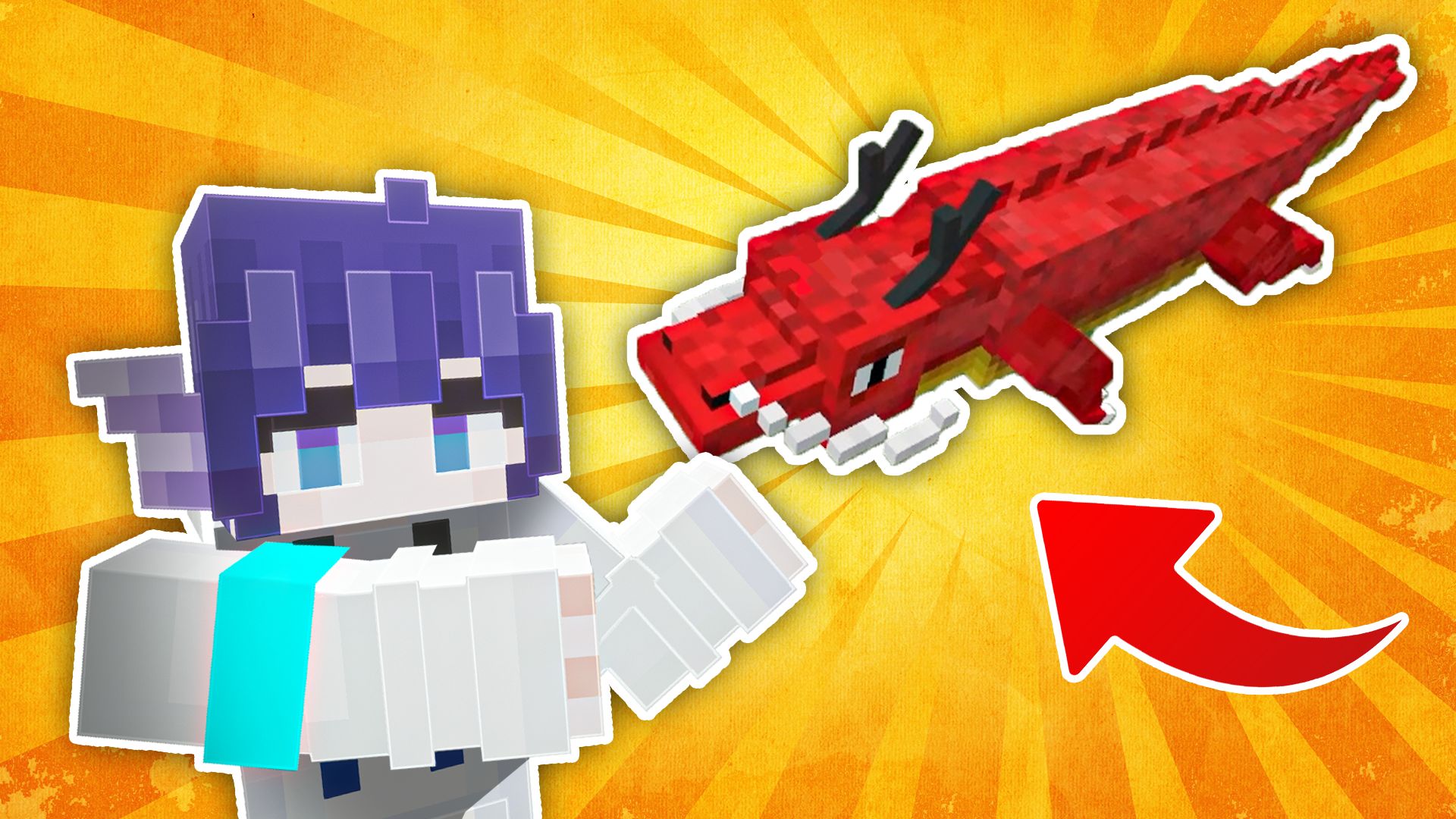 呐，这就是传说中的龙