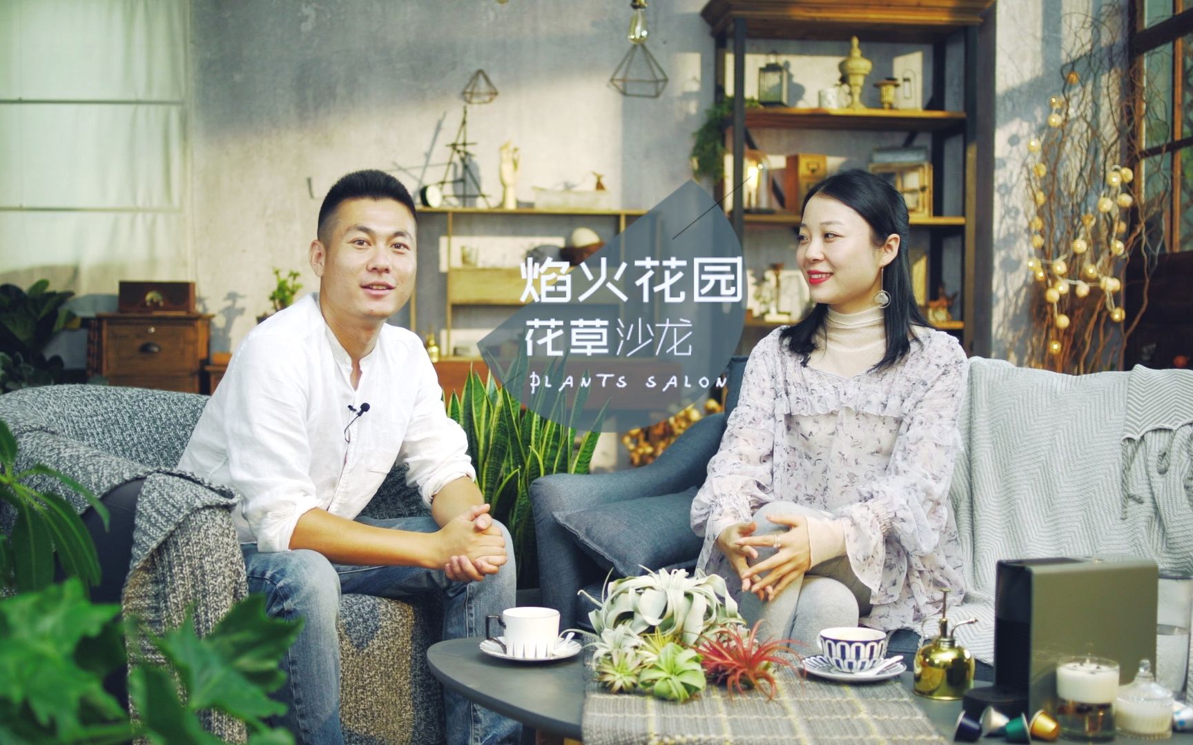 花草沙龙：多年空凤种植经验分享，3步教你养好空气凤梨