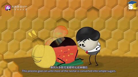 d7e5f25e273c62188d31e60c91f625d1207ff40c.jpg@480w_270h_1c