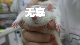 d7edbcc4984b8426ddd4f2ee90e3328a6d4bc611.jpg@280w_158h_1c_100q.jpg