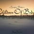 Children of Bodom A Symphonic Tribute