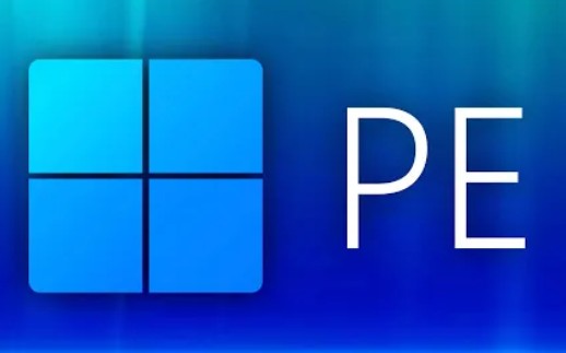 Windows PE发展史(XP - 11)