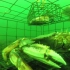 Gopro海底拍摄如何捕获帝王蟹，螃蟹真是傻的可以啊！