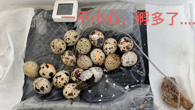 d811d1f6dee8dd004a79d45834c3aa42766bfcd9.jpg@280w_158h_1c_100q.jpg