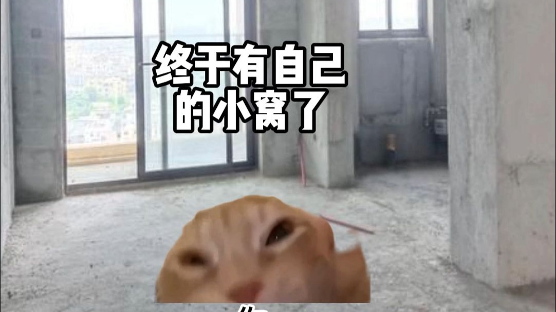 当父母趁你不在时把刚买的新房装修了