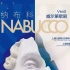 上海歌剧院经典歌剧《纳布科》演出集锦（Opera Nabucco）