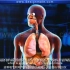 呼吸系统-STD 07 _ Science - Respiratory System