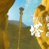 【格鲁德之塔】“我登上了海拉鲁大陆最高的塔~”（用摄影师的眼睛打开塞尔达传说）