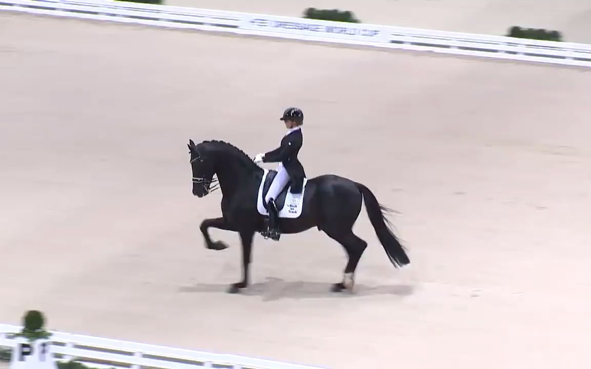 FEI浪琴表大奖赛-马术舞步赛：德国斯图加特站 Dressage - Grand Prix _ Stuttgart (GER) _ FEI Dressage W