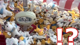 d848774df380c5a3e46ee8eb6222c548d313cce7.jpg@280w_158h_1c_100q.jpg