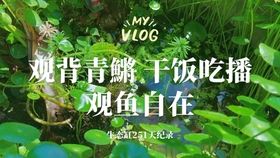 d84cdba2e0f4373d3356fb468c8d9d4f44536f71.jpg@280w_158h_1c_100q.jpg