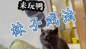 d84d45d84f223ad29815b1b8eeb492d878403071.jpg@280w_158h_1c_100q.jpg