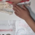 【小学生科普】之探索人体器官玩具分解