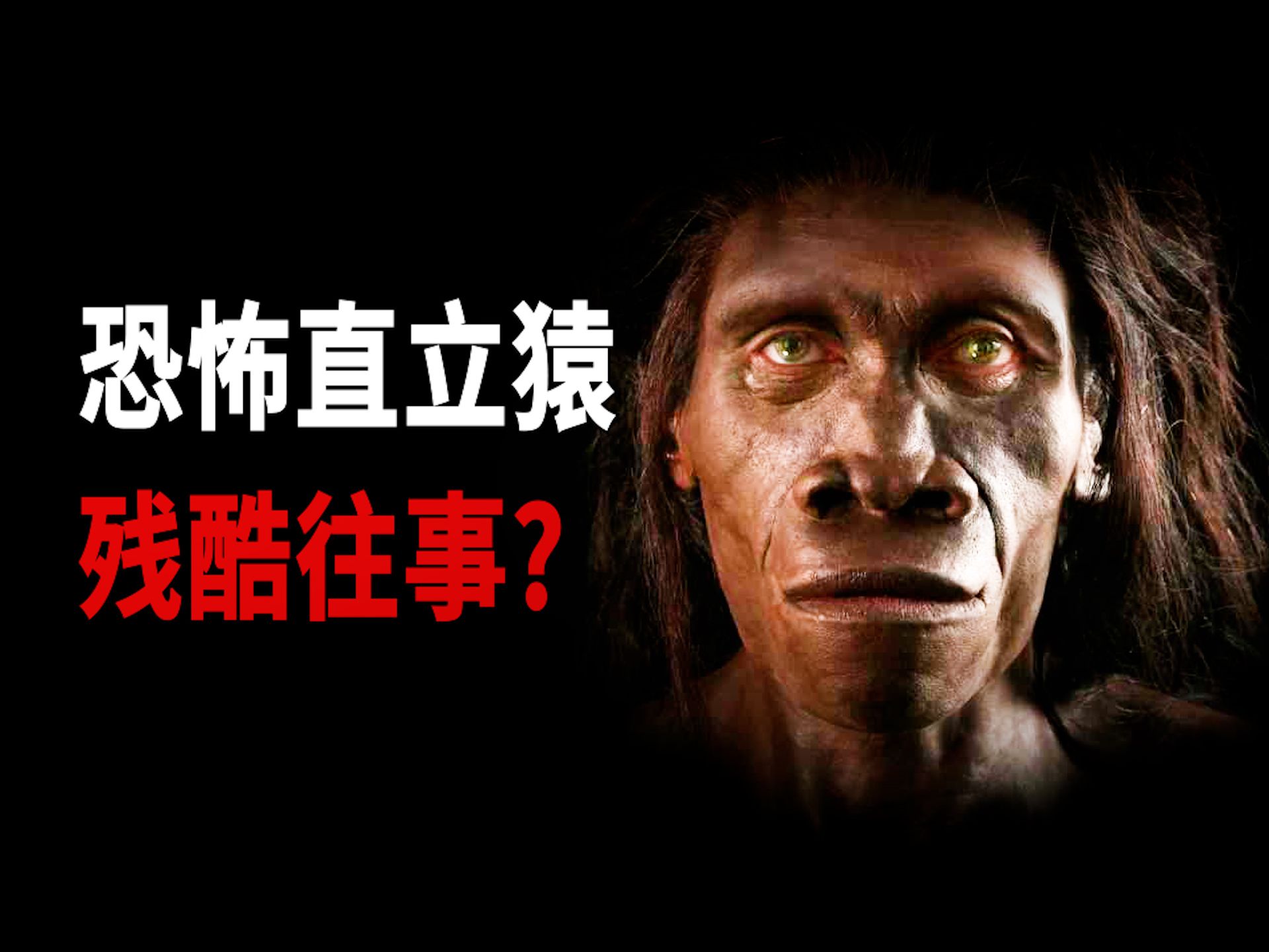 【瞻云】人类祖先经历了什么，才被逼进化成了恐怖直立猿？