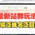 黑帽seo教学三级泛域名泛目录站群玩法