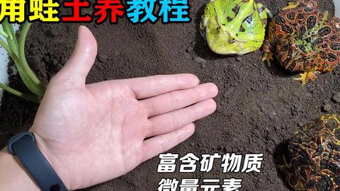 d8788562d421037caa4f6d79b5d861d3df03a2ad.jpg@480w_270h_1c
