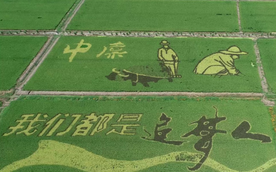 【智慧农业】华中农业大学智慧农业专业，邀你一起为建设农业强国而拼搏！