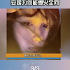 萝莉少女自爆男儿身，靠脏话一个月吸粉700万，全网都被她骗了