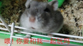 d8887238d7ed4c9f0cad037167ed5f8dfbd1c5ba.jpg@280w_158h_1c_100q.jpg