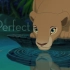 【The Lion King】【Simba&Nala】Perfect