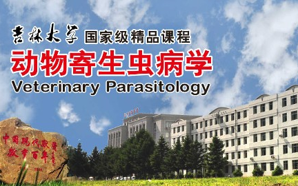 动物寄生虫病学_吉林大学_主讲-张西臣 105讲