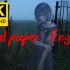 【Wallpaper Engine】EVA 精选4K壁纸第一期