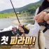 韩国小姐姐路亚钓行-What happen in minnow fishing..!  Bass. fishing. 釣