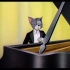 【猫和老鼠】汤姆：弹一曲悲伤的故事