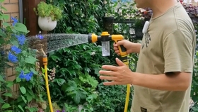 月季花施什么药 d8e5deec0b71e43e1827959e62db45c8b95489ee.jpg@280w_158h_1c_100q.jpg
