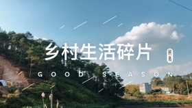 农村vlog叫什么名字