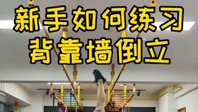 d912671d91622c93a1e74fe3aabcb2d92a5d766a.jpg@280w_158h_1c_100q.jpg