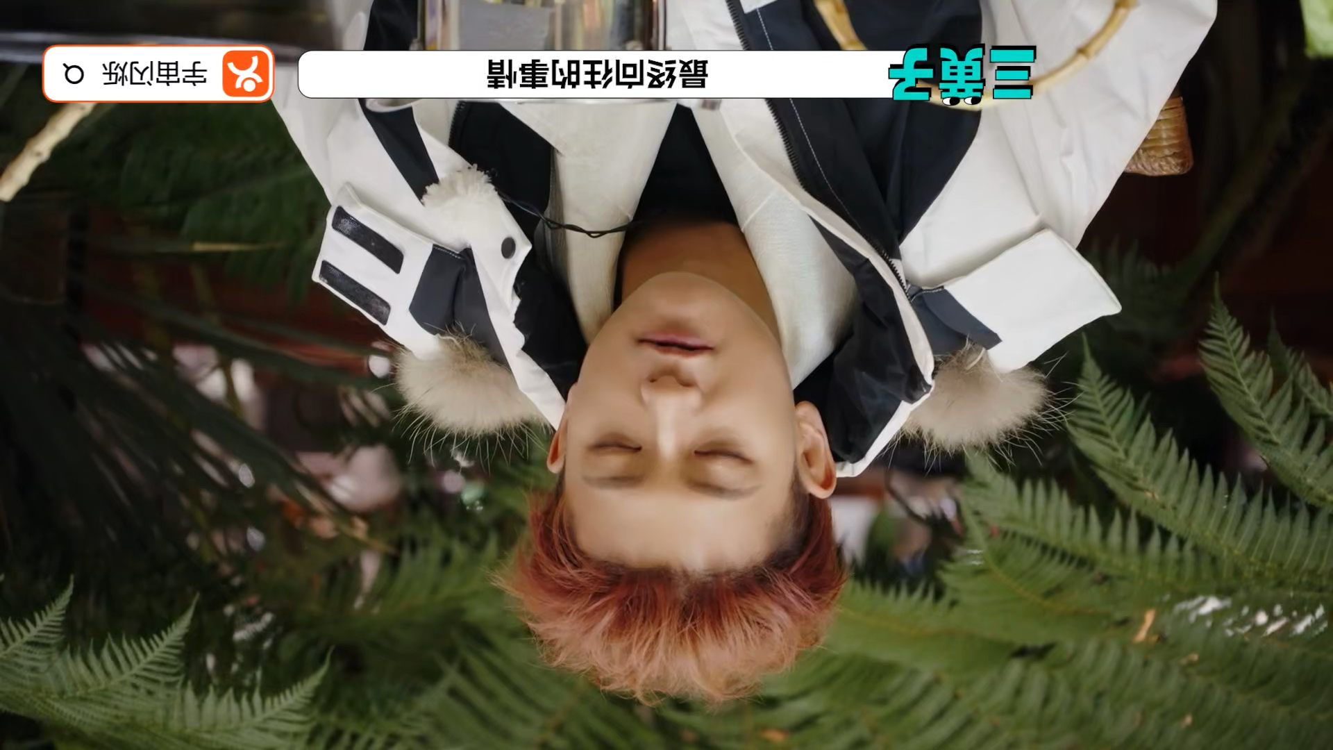 4期下 |（反向完整）