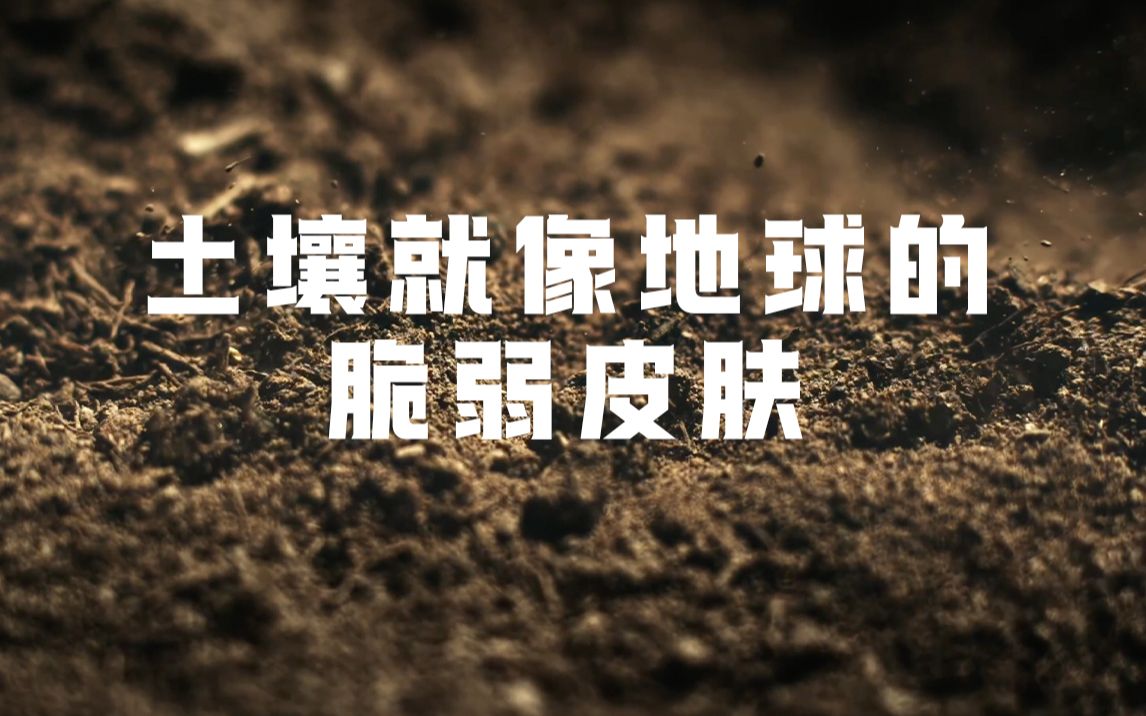 土壤就像地球的脆弱皮肤