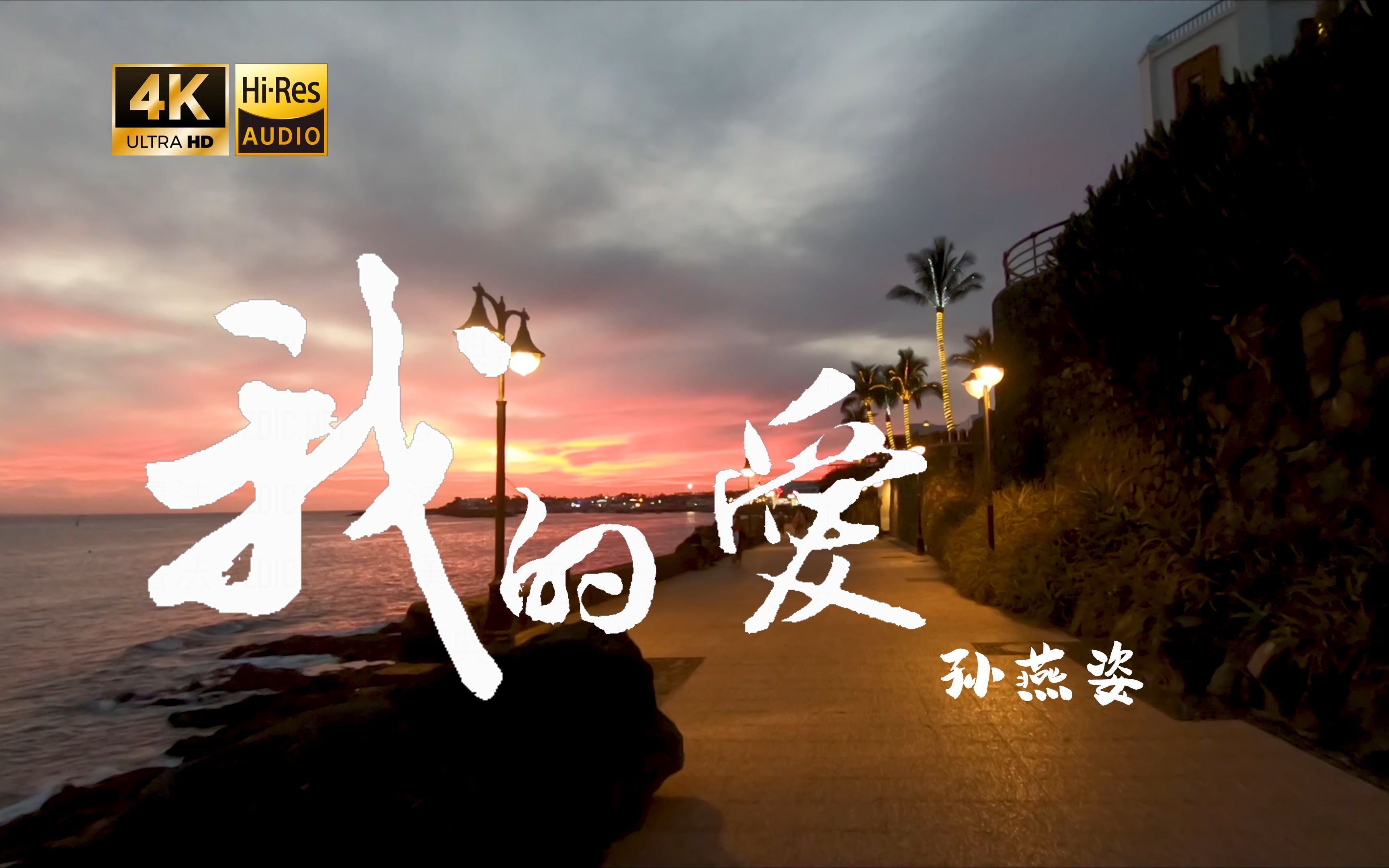 【4K Hi-Res】我的爱-孙燕姿 你可知我的爱
