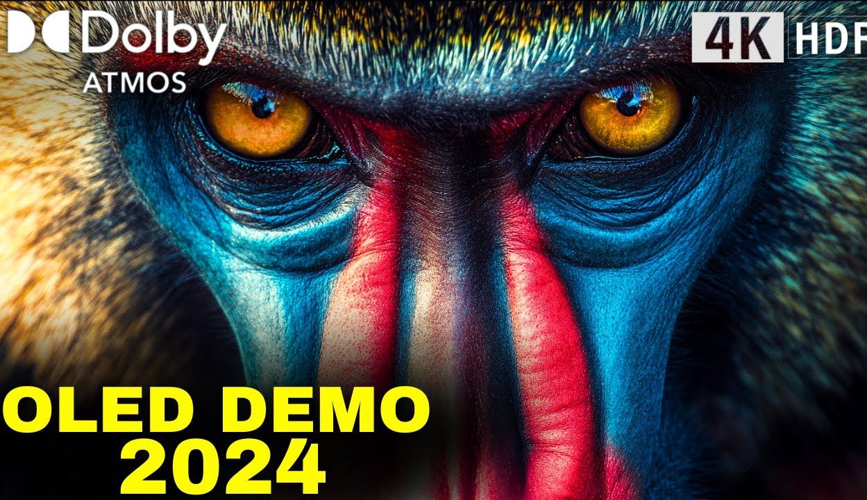革命性的 OLED 演示 2024：4K HDR 杜比全景声 (Dolby Atmos) 光彩夺目！