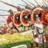 罗马帝国的衰亡-最后的罗马人-沙隆会战（下）