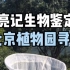 【亮记生物鉴定】在北京找到一棵“神树”，上面趴着各种美虫